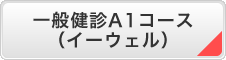 一般健診A1コース（イーウェル）